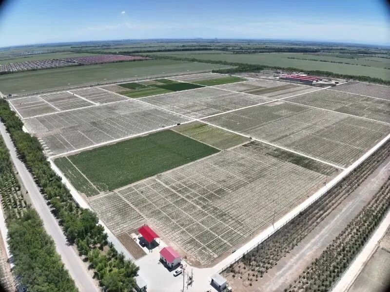 中国农业科学院昌吉综合试验基地入选农业农村部首批现代农业科...