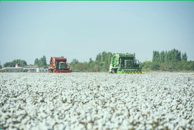 深耕希望田野，匠筑农业标杆——昌吉国家农高区谱写现代农业发...