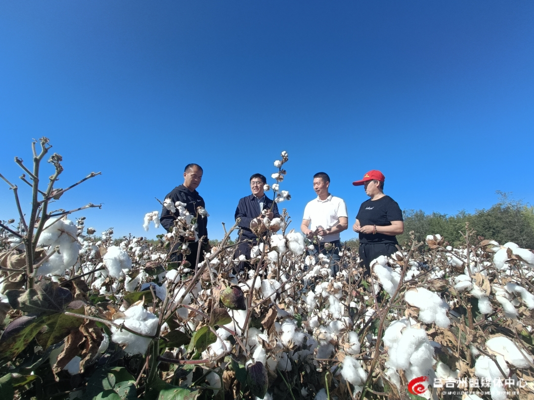 澎湃“园”动力 沃野“攀高”行——昌吉国家农高区高质量发展纪实