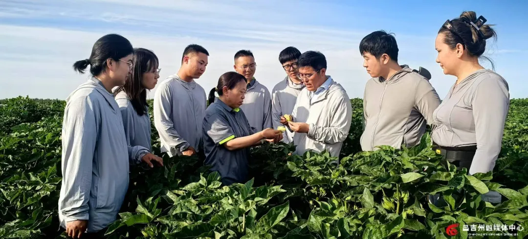 大地的回响 | 贾金龙：把热血青春融进祖国的山河